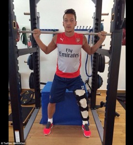 ozil weights